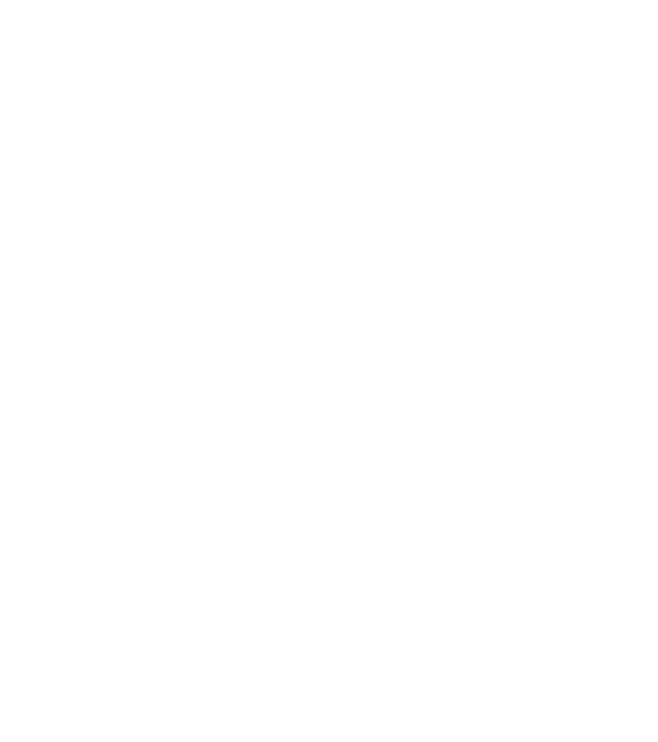 Perplexity